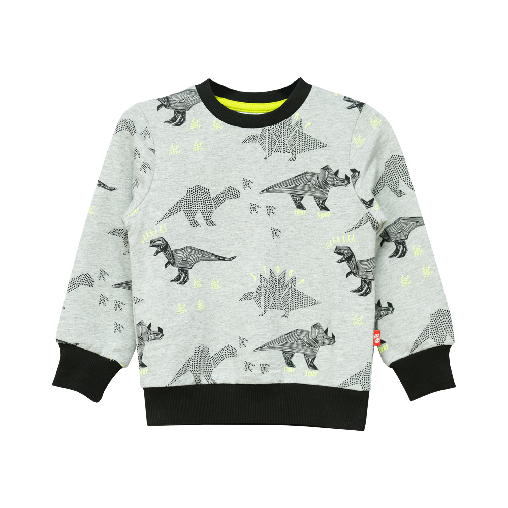 Boys Grey AOP Fleece Sweatshirt